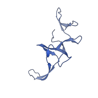 21033_6v3d_T_v1-1
Cryo-EM structure of the Acinetobacter baumannii Ribosome: 50S subunit