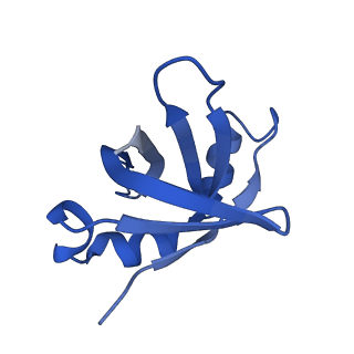 21033_6v3d_U_v1-0
Cryo-EM structure of the Acinetobacter baumannii Ribosome: 50S subunit