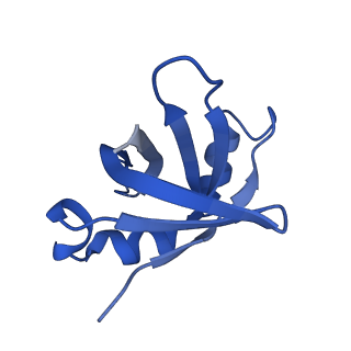 21033_6v3d_U_v1-1
Cryo-EM structure of the Acinetobacter baumannii Ribosome: 50S subunit