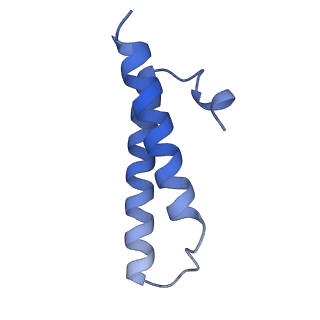 21033_6v3d_X_v1-0
Cryo-EM structure of the Acinetobacter baumannii Ribosome: 50S subunit