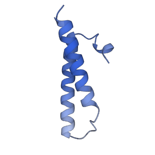 21033_6v3d_X_v1-1
Cryo-EM structure of the Acinetobacter baumannii Ribosome: 50S subunit