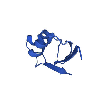 21033_6v3d_Y_v1-1
Cryo-EM structure of the Acinetobacter baumannii Ribosome: 50S subunit