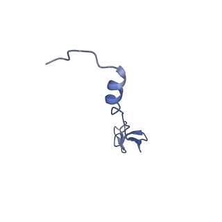 21033_6v3d_Z_v1-0
Cryo-EM structure of the Acinetobacter baumannii Ribosome: 50S subunit