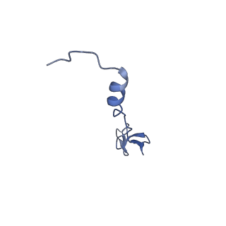 21033_6v3d_Z_v1-1
Cryo-EM structure of the Acinetobacter baumannii Ribosome: 50S subunit