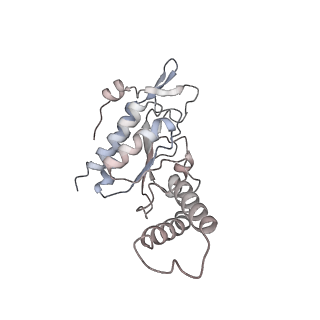 21034_6v3e_b_v1-0
Cryo-EM structure of the Acinetobacter baumannii Ribosome: 30S subunit