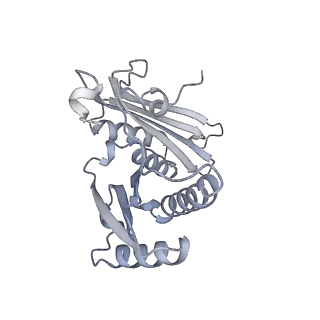21034_6v3e_c_v1-0
Cryo-EM structure of the Acinetobacter baumannii Ribosome: 30S subunit