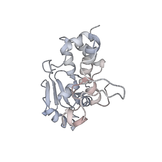 21034_6v3e_d_v1-0
Cryo-EM structure of the Acinetobacter baumannii Ribosome: 30S subunit