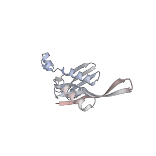 21034_6v3e_e_v1-0
Cryo-EM structure of the Acinetobacter baumannii Ribosome: 30S subunit