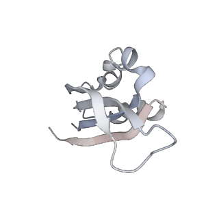 21034_6v3e_f_v1-0
Cryo-EM structure of the Acinetobacter baumannii Ribosome: 30S subunit