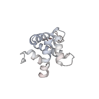 21034_6v3e_g_v1-0
Cryo-EM structure of the Acinetobacter baumannii Ribosome: 30S subunit