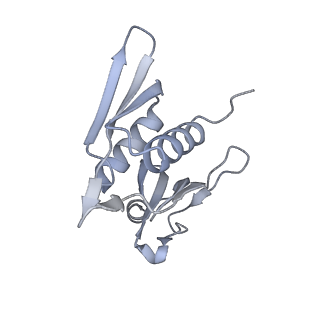 21034_6v3e_h_v1-0
Cryo-EM structure of the Acinetobacter baumannii Ribosome: 30S subunit