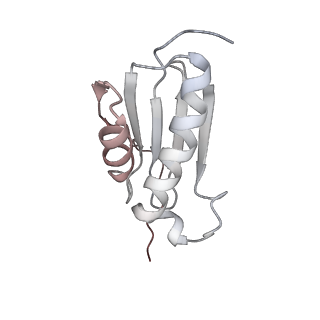 21034_6v3e_k_v1-0
Cryo-EM structure of the Acinetobacter baumannii Ribosome: 30S subunit