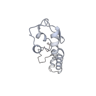 21034_6v3e_m_v1-0
Cryo-EM structure of the Acinetobacter baumannii Ribosome: 30S subunit