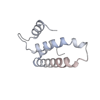 21034_6v3e_o_v1-0
Cryo-EM structure of the Acinetobacter baumannii Ribosome: 30S subunit