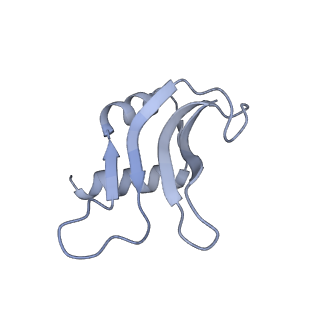 21034_6v3e_p_v1-0
Cryo-EM structure of the Acinetobacter baumannii Ribosome: 30S subunit