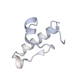 21034_6v3e_r_v1-0
Cryo-EM structure of the Acinetobacter baumannii Ribosome: 30S subunit