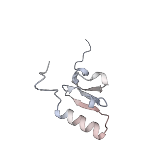 21034_6v3e_s_v1-0
Cryo-EM structure of the Acinetobacter baumannii Ribosome: 30S subunit