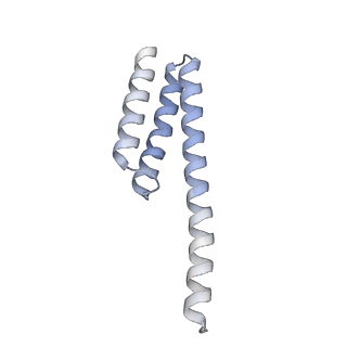 21034_6v3e_t_v1-0
Cryo-EM structure of the Acinetobacter baumannii Ribosome: 30S subunit