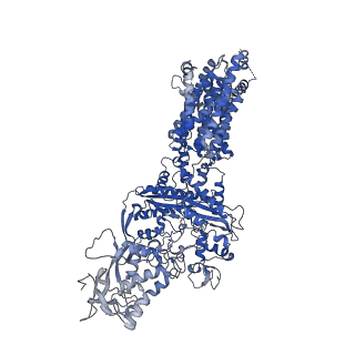 21035_6v3f_A_v1-0
Structure of NPC1-like intracellular cholesterol transporter 1 (NPC1L1)