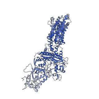 21035_6v3f_A_v2-0
Structure of NPC1-like intracellular cholesterol transporter 1 (NPC1L1)