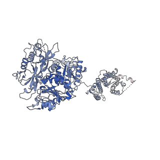 21036_6v3g_A_v1-2
Cryo-EM structure of Ca2+-free hsSlo1 channel