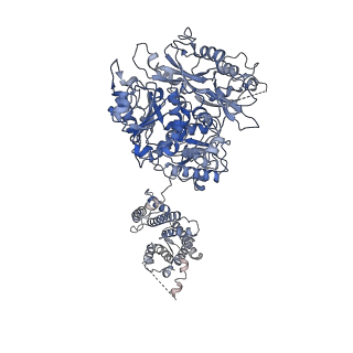 21036_6v3g_B_v1-2
Cryo-EM structure of Ca2+-free hsSlo1 channel