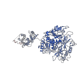 21036_6v3g_C_v1-2
Cryo-EM structure of Ca2+-free hsSlo1 channel