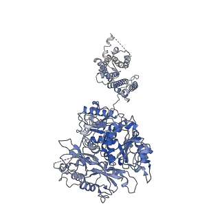 21036_6v3g_D_v1-2
Cryo-EM structure of Ca2+-free hsSlo1 channel