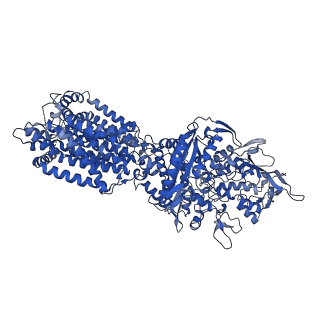 21037_6v3h_A_v1-0
Structure of NPC1-like intracellular cholesterol transporter 1 (NPC1L1) in complex with an ezetimibe analog