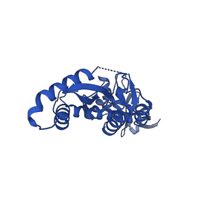 21038_6v3k_B_v1-2
Structure of HIV cleaved synaptic complex (CSC) intasome bound with magnesium and INSTI XZ419 (compound 4c)