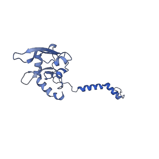 31649_7v31_B_v1-0
Active state complex I from rotenone dataset