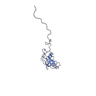 31649_7v31_N_v1-0
Active state complex I from rotenone dataset
