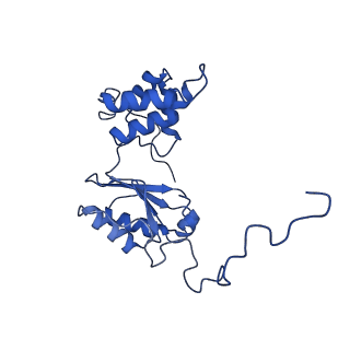 31649_7v31_O_v1-0
Active state complex I from rotenone dataset