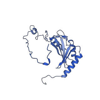 31649_7v31_P_v1-0
Active state complex I from rotenone dataset