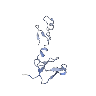 31649_7v31_T_v1-0
Active state complex I from rotenone dataset