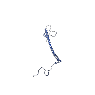 31649_7v31_W_v1-0
Active state complex I from rotenone dataset