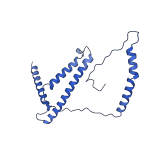 31649_7v31_d_v1-0
Active state complex I from rotenone dataset