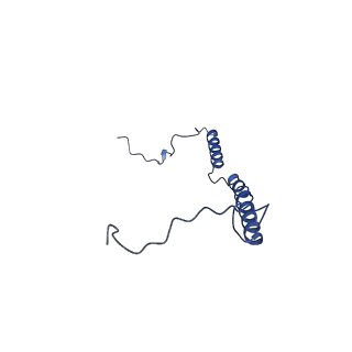 31649_7v31_e_v1-0
Active state complex I from rotenone dataset