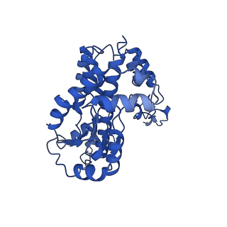 31649_7v31_w_v1-0
Active state complex I from rotenone dataset