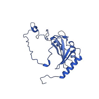 31650_7v32_P_v1-0
Deactive state complex I from rotenone dataset