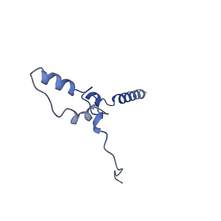 31650_7v32_Z_v1-0
Deactive state complex I from rotenone dataset
