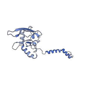 31651_7v33_B_v1-0
Active state complex I from rotenone-NADH dataset