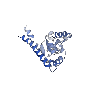 31651_7v33_C_v1-0
Active state complex I from rotenone-NADH dataset