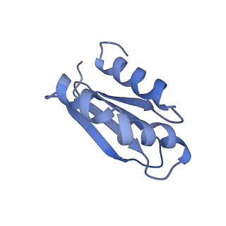 31651_7v33_F_v1-0
Active state complex I from rotenone-NADH dataset
