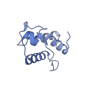 31651_7v33_G_v1-0
Active state complex I from rotenone-NADH dataset