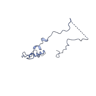 31651_7v33_I_v1-0
Active state complex I from rotenone-NADH dataset
