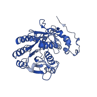 31651_7v33_J_v1-0
Active state complex I from rotenone-NADH dataset