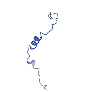 31651_7v33_K_v1-0
Active state complex I from rotenone-NADH dataset