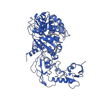 31651_7v33_M_v1-0
Active state complex I from rotenone-NADH dataset