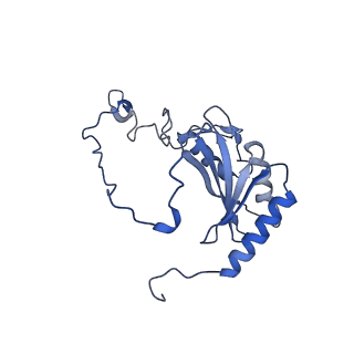 31651_7v33_P_v1-0
Active state complex I from rotenone-NADH dataset